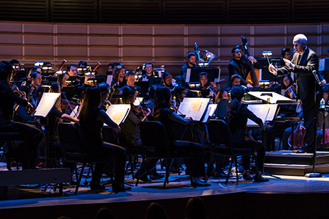 A full orchestra playing live in concert